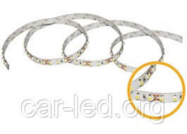 Белая SMD3528 (120 LED/м) 7110-7700 (8,0W/м) IP33 Indoor Rishang