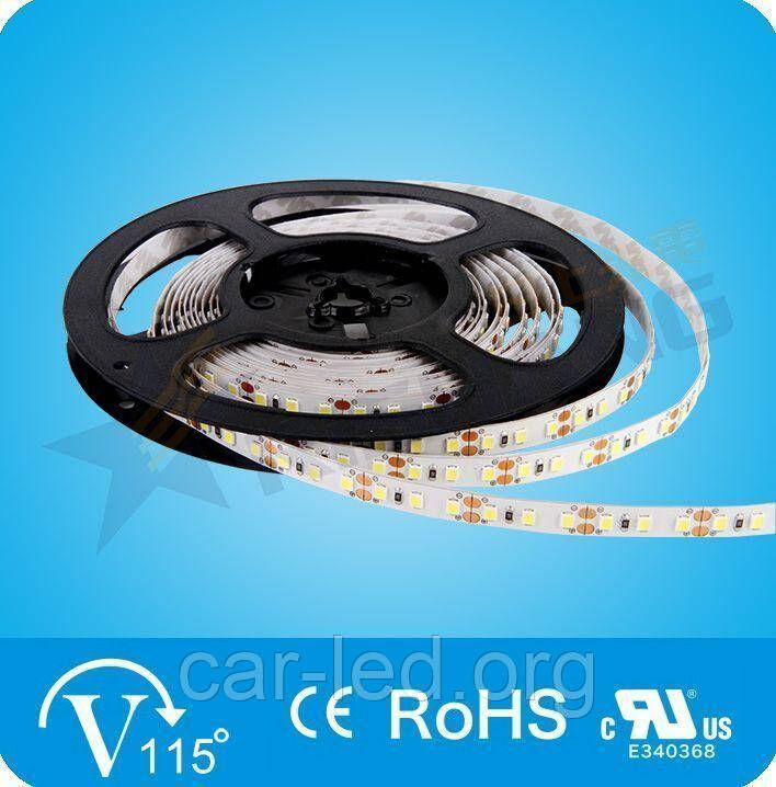 Світлодіодна стрічка холодно-денна 2835-120-IP33-CWd-8-12 RN08C0TA-B RISHANG