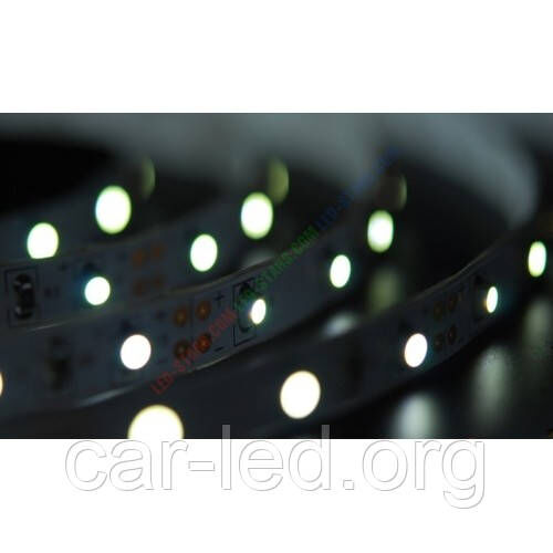 Лента светодиодная (белая холодная) 4,8W SMD3528 (60 LED/м) Indoor IP20