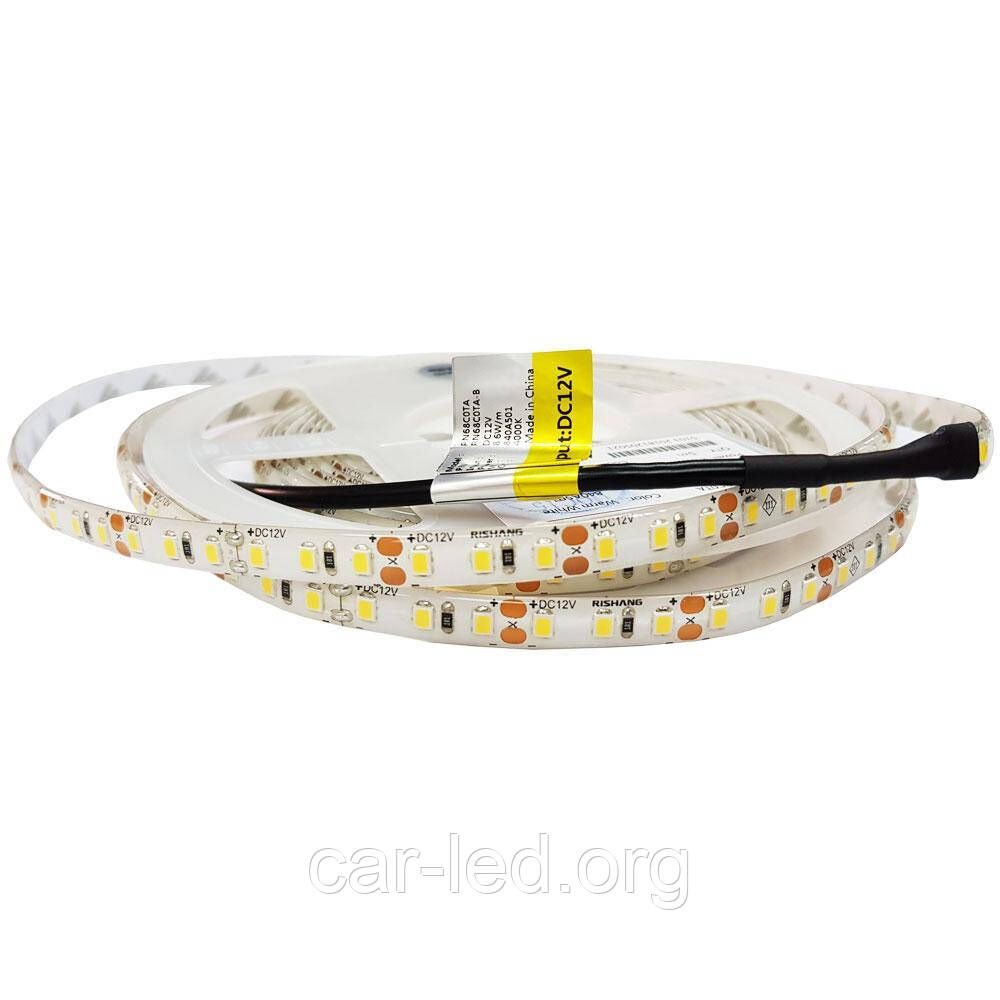 Світлодіодна стрічка холодно-біла 2835-120-IP65-CWd-8-12 RN68C0TA-B RISHANG