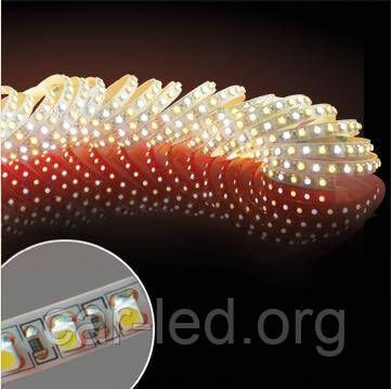 Multi White cветодиодная лента SMD 3528 (120 LED/m) IP20