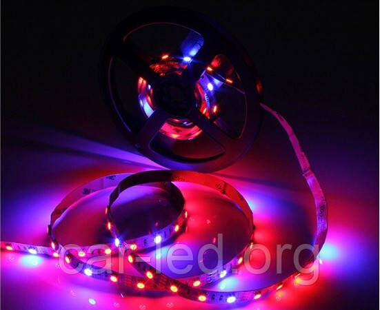 Світлодіодна фіто стрічка SMD 5050 (60 LED / m) 660-460nm (4:1) IP20 Premium